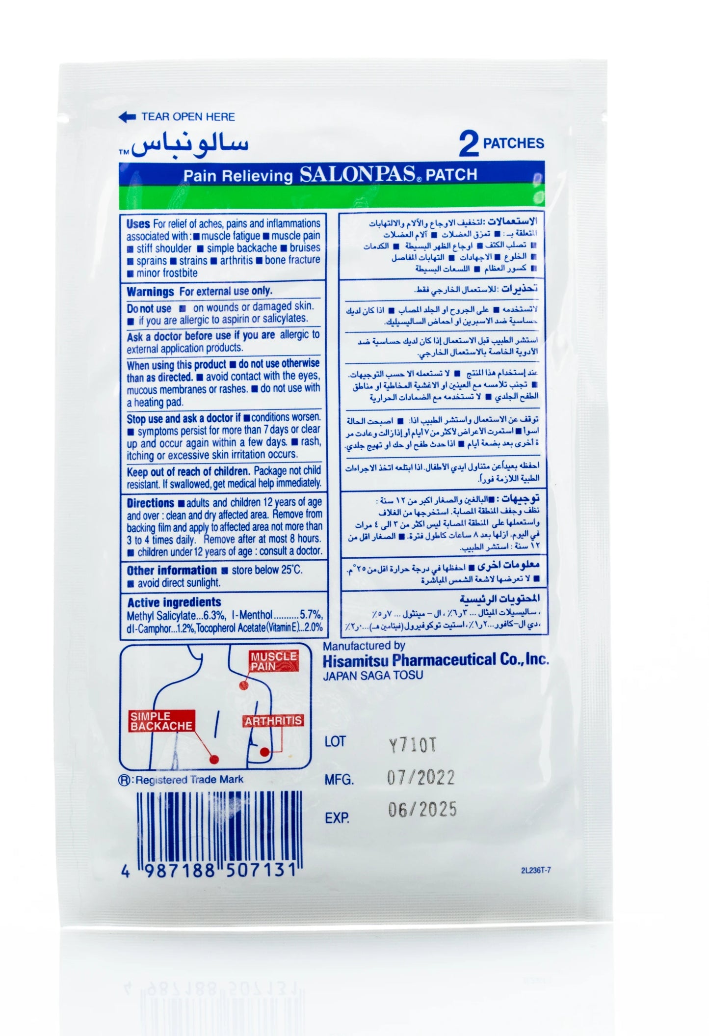 Salonpas Patch 13 cm x 8.4 cm 2 Pieces