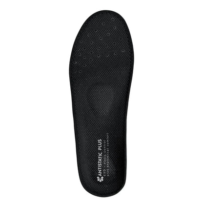 Scholl Pedag Antistatic Plus 41