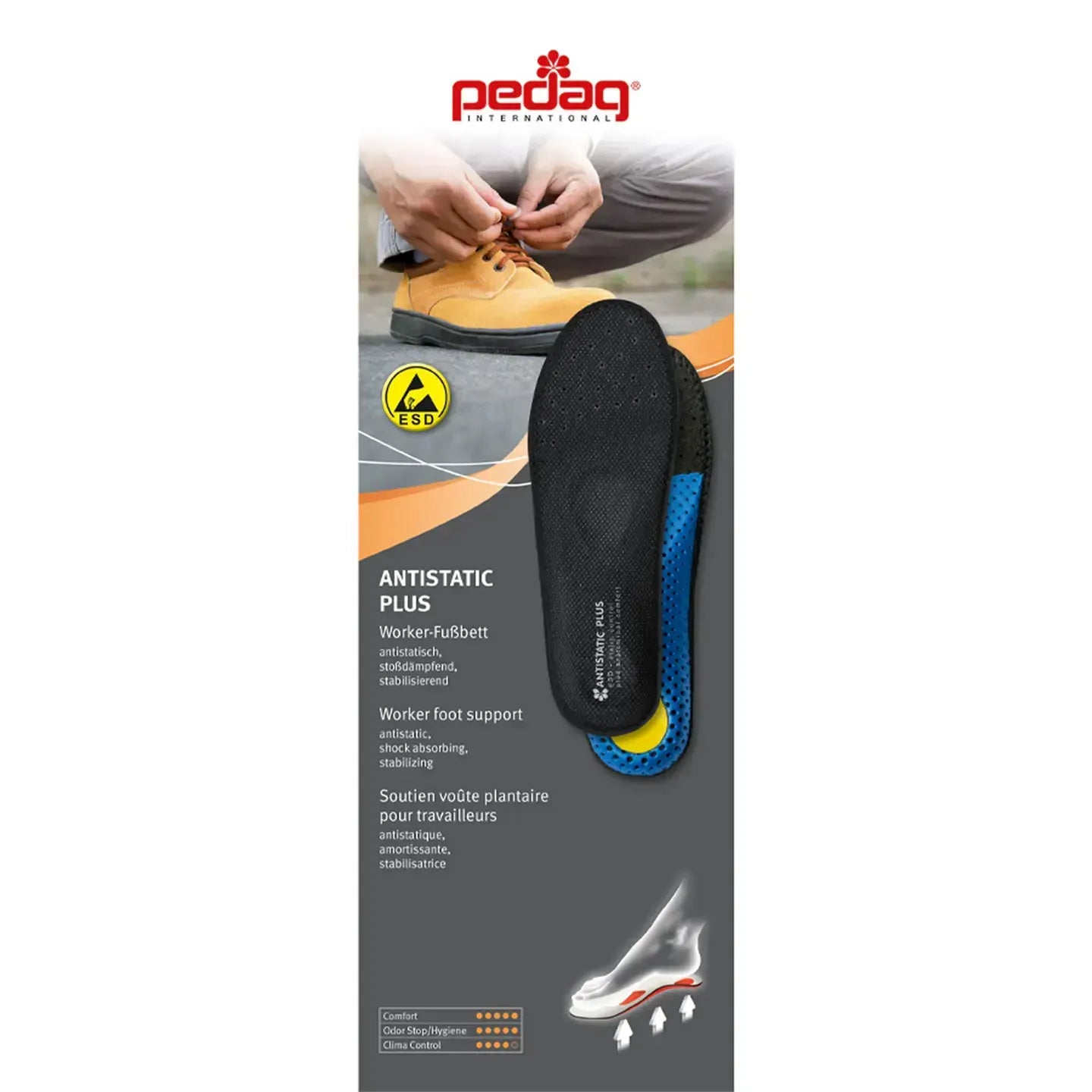Scholl Pedag Antistatic Plus 42