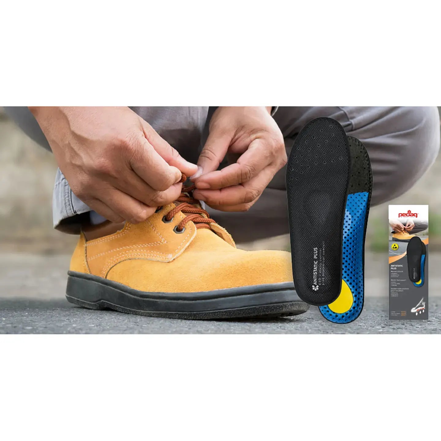 Scholl Pedag Antistatic Plus 42
