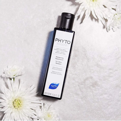 Phyto Argent No Yellow Shampoo for Grey, White and Bleached Hair 250 Ml