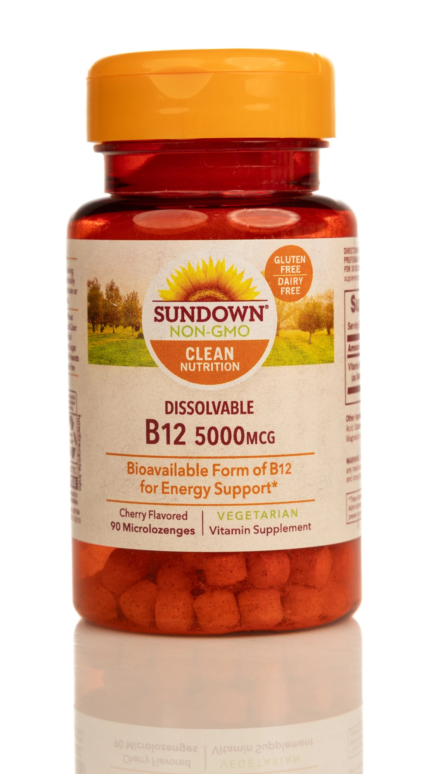 Sundown Dissolvable B12 5000MCG 90 Microlozenges