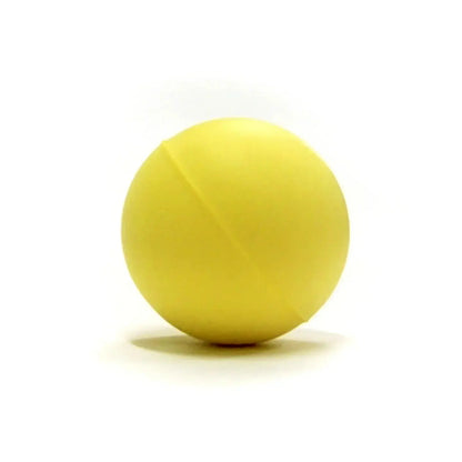 Tynor Excercising Ball Ortho H-05 [Hard]