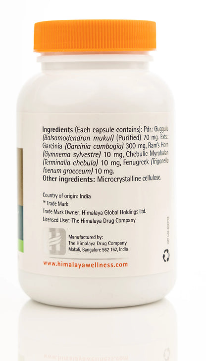 Ayurslim 120 Capsules